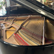 2005 JP Pramberger Platinum Edition grand piano - Grand Pianos